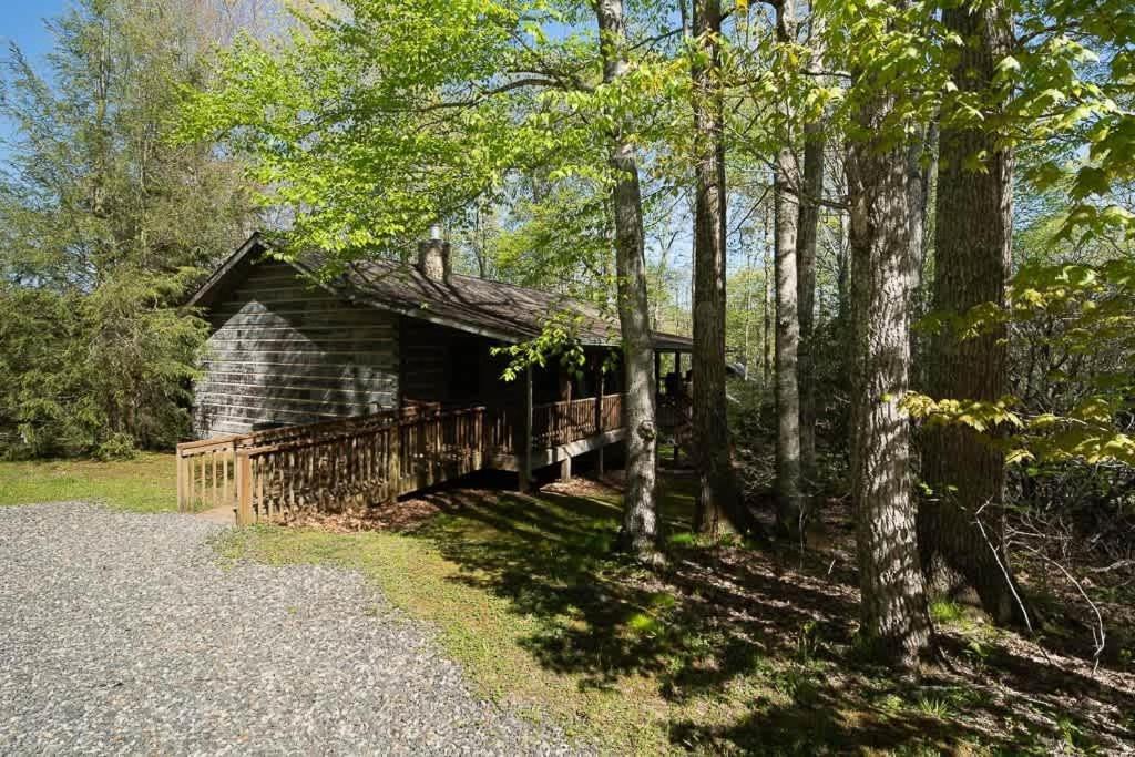 Cozy 'Grey Fox' Cabin Between Boone & Blowing Rock Exterior foto
